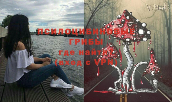 прущая мука Армянск