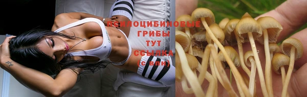 экстази Аркадак