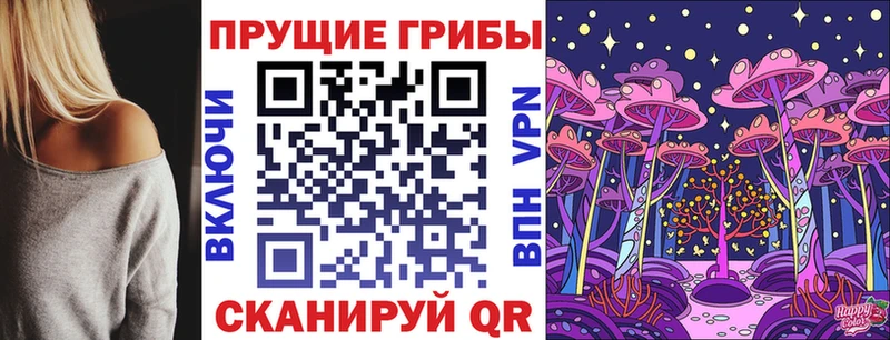 как найти наркотики  Руза  Галлюциногенные грибы Cubensis 